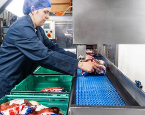 Brilopak packing machines and robotic arms on a modern factory floor-11