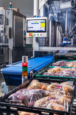 Brilopak packing machines and robotic arms on a modern factory floor-13