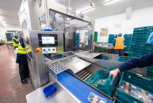 Brilopak packing machines and robotic arms on a modern factory floor-05
