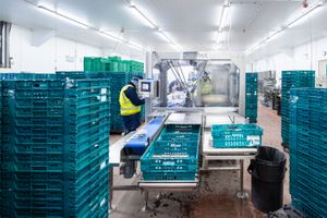 Brilopak packing machines and robotic arms on a modern factory floor-06