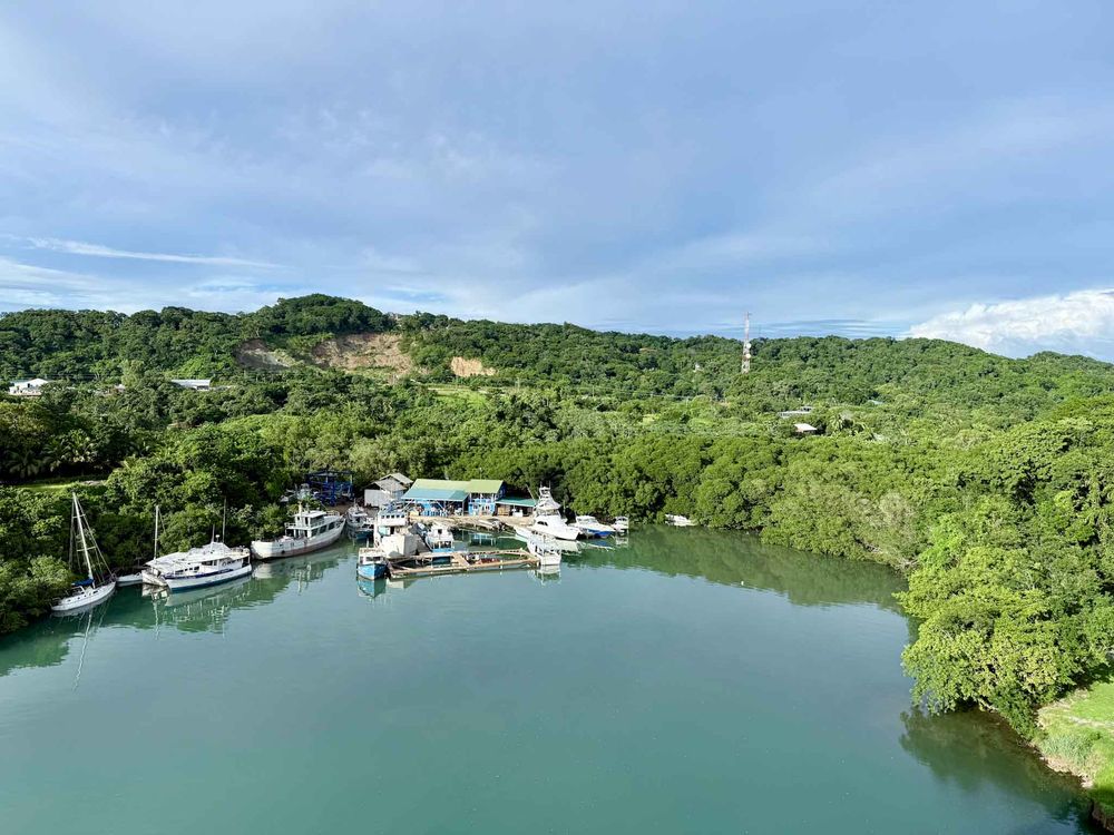 Aerial view of a marina with boats docked in calm turquoise waters surrounded by lush green hills and forest.