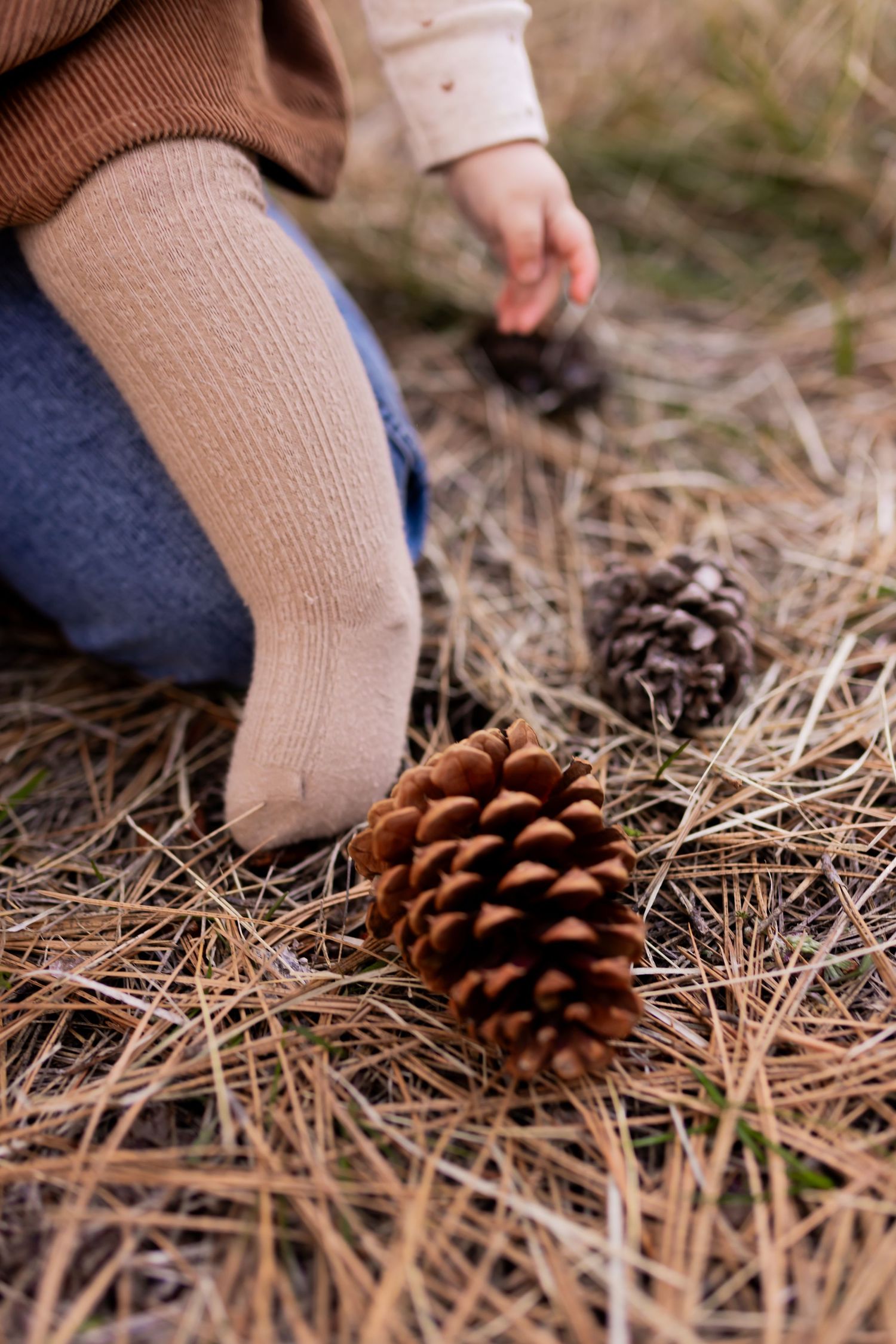 Close-up detail photo from a Montana family session capturing a child exploring nature