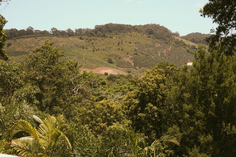 Rolling hills and lush green vegetation in a tropical landscape with mountains in the background.
