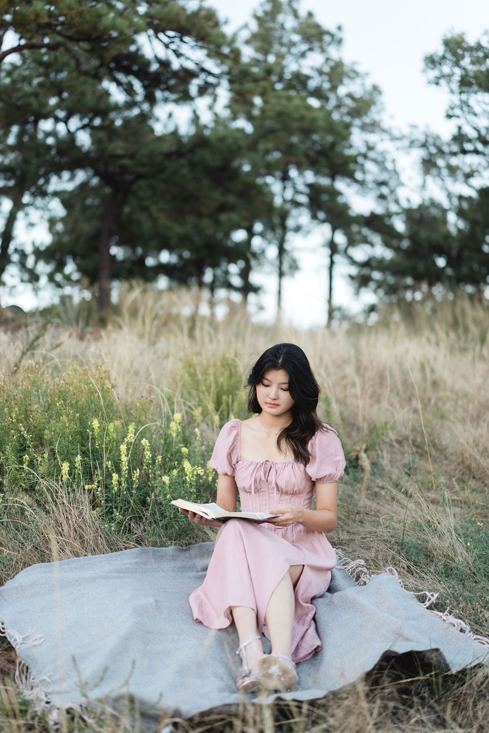 A person in a pink dress sits on a blanket reading a book in a serene meadow with tall grass and trees.