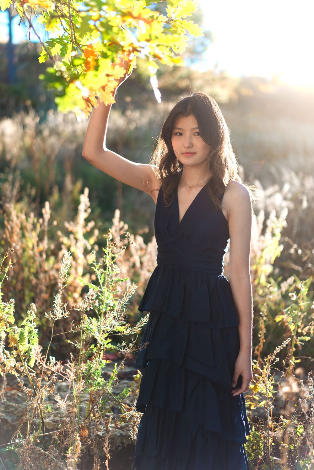 A series of dreamy golden hour portraits showing a woman in a navy dress among wildflowers and sunlit foliage.