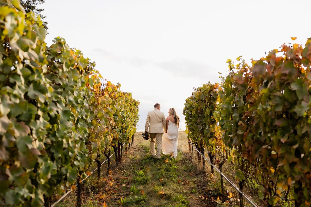 Rows of autumn vineyard vines lead to a distant couple on a hilltop.