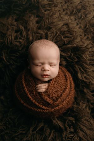 Seven artistic portraits of a sleeping newborn wrapped in a cozy brown knit blanket against a textured background.