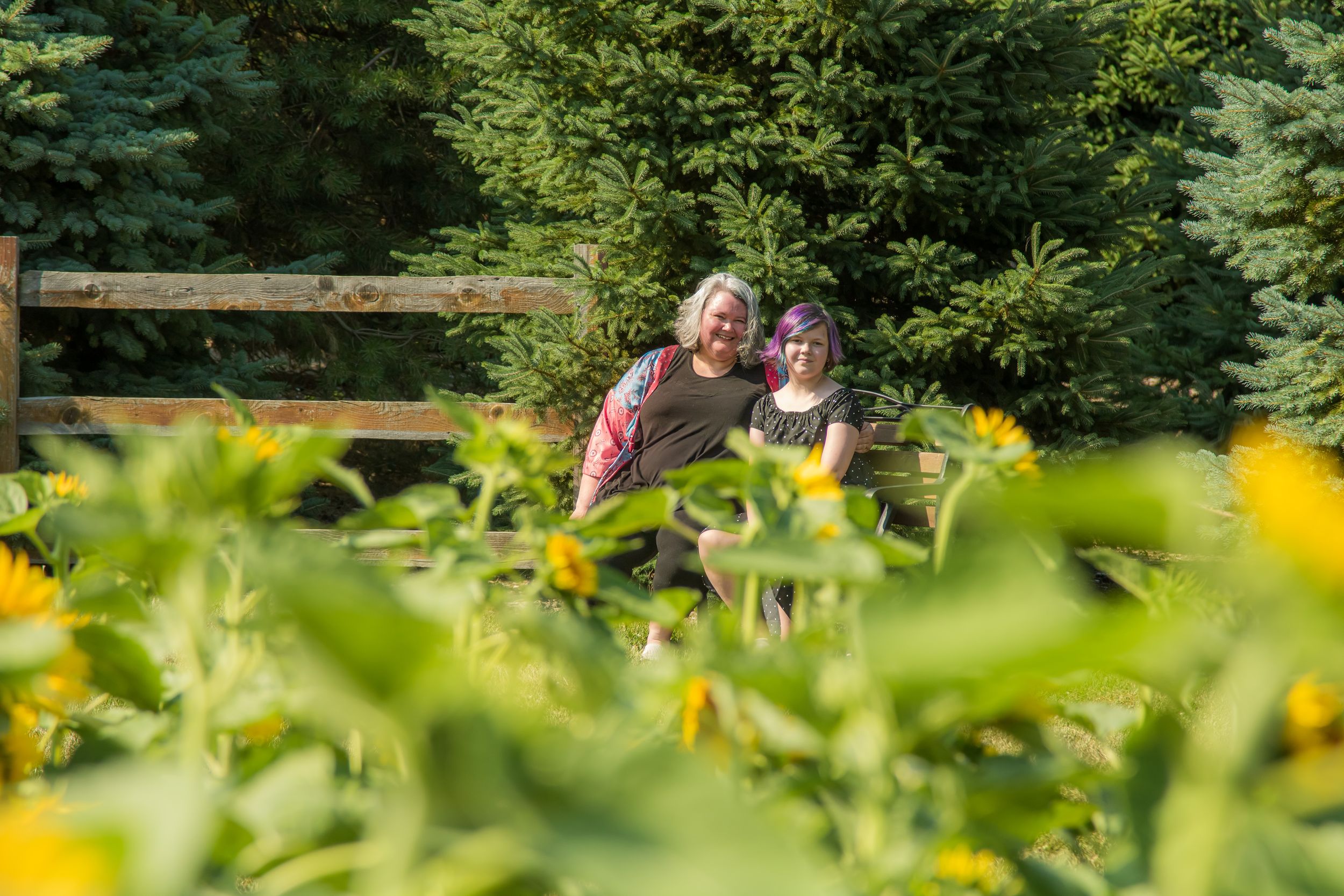 A person tends to a flourishing garden of sunflowers and vegetables on a sunny summer day.