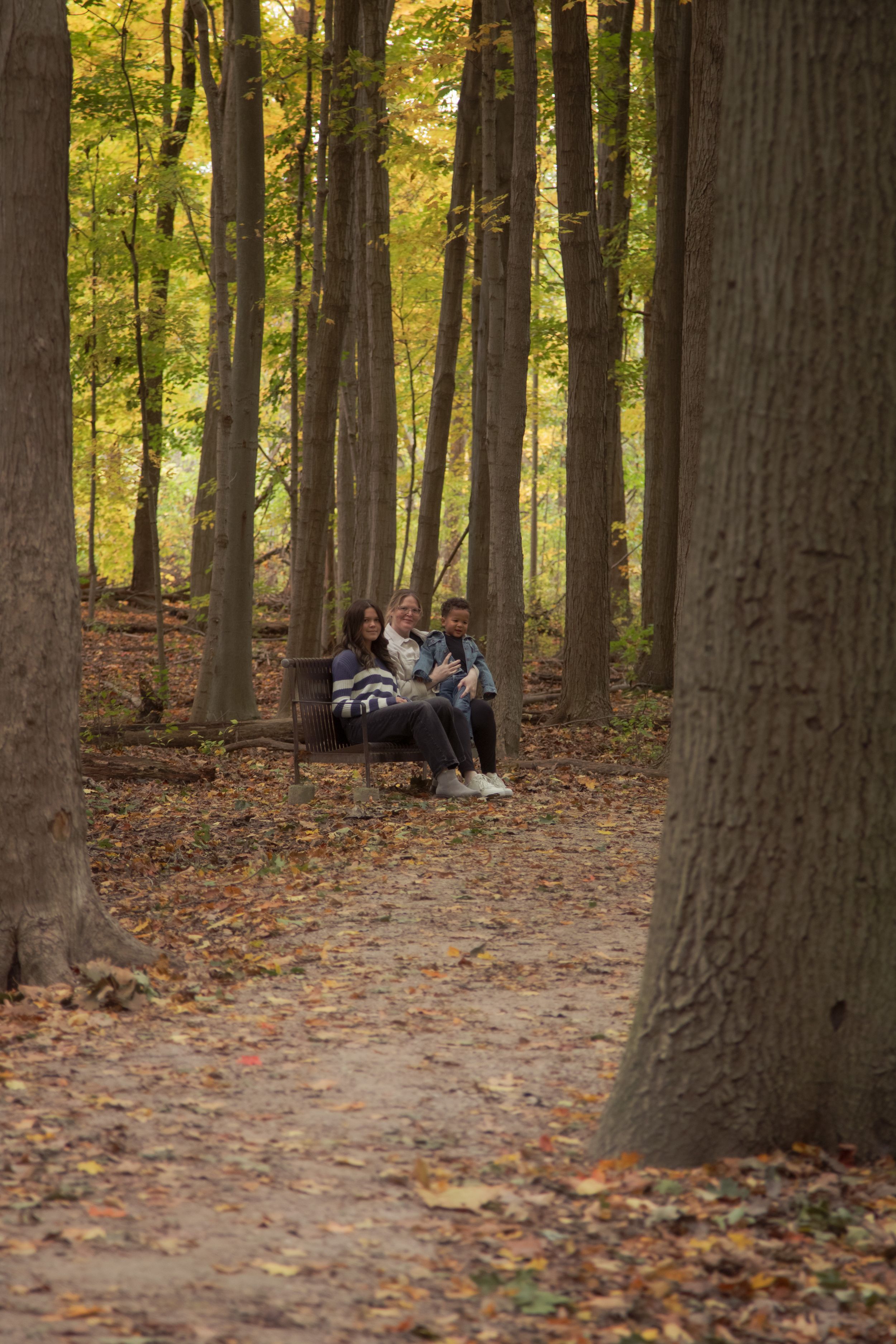 People sitting on fallen logs in an autumn forest surrounded by tall trees and scattered leaves on the ground.