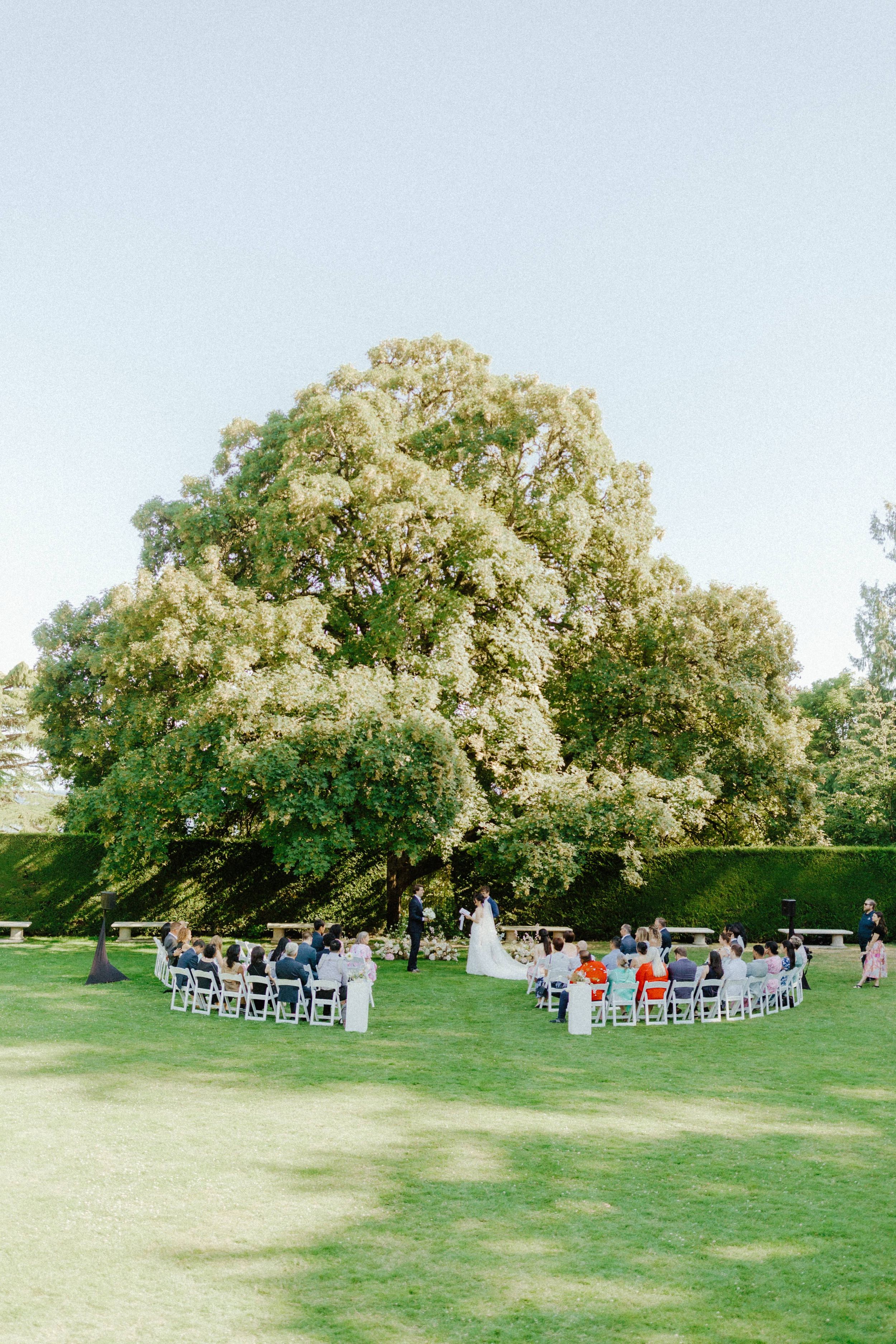 Outdoor wedding ceremony setup with white chairs under blooming trees on a grassy lawn.