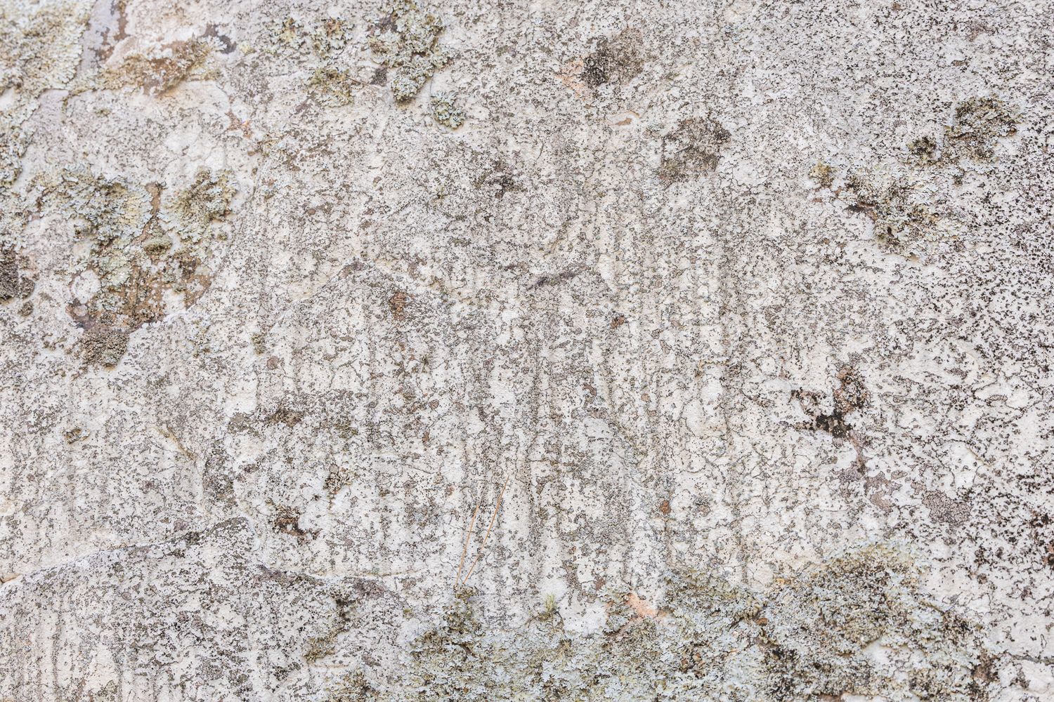 Weathered gray concrete wall texture with rough surface and brown stains showing natural aging and deterioration.
