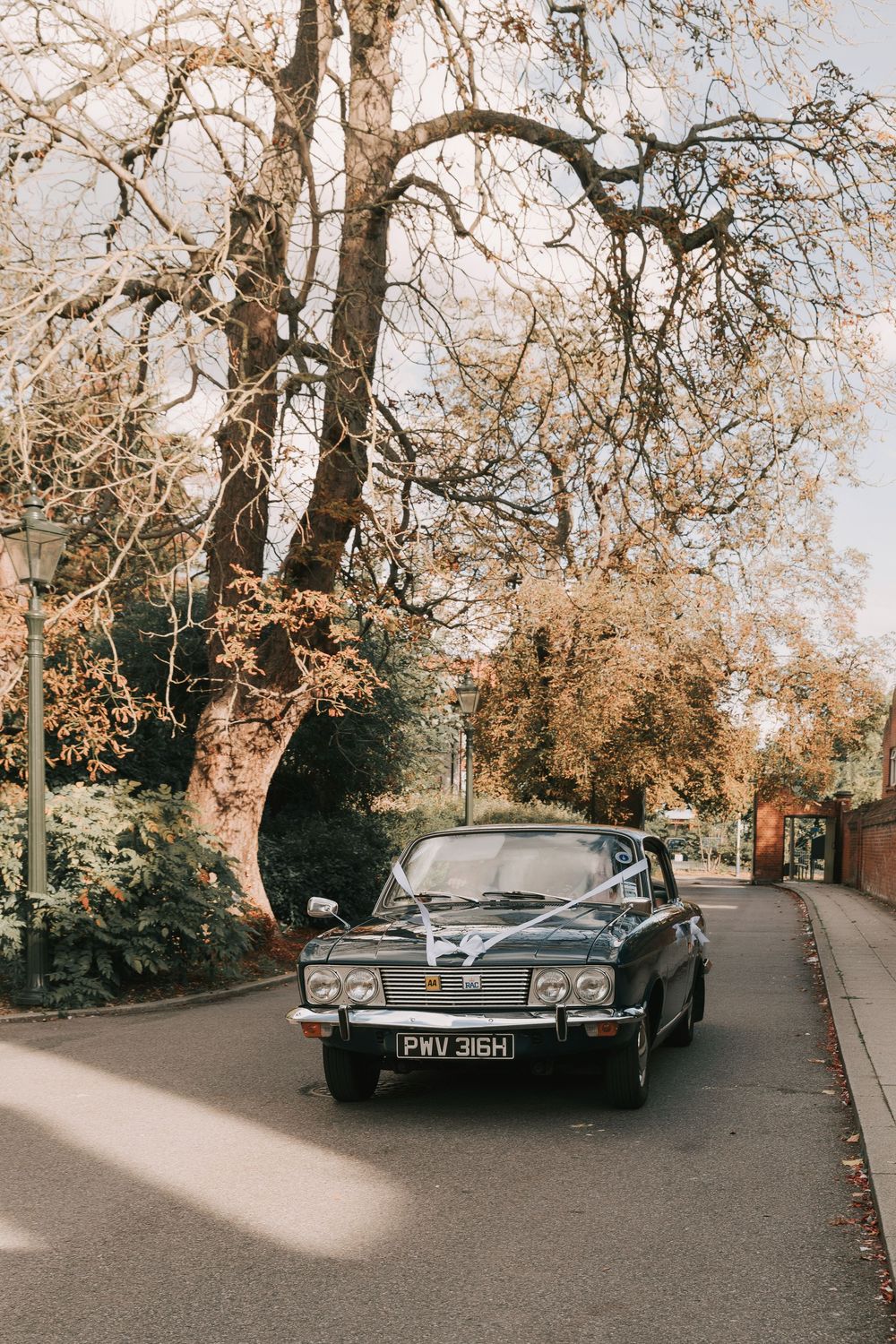 Classic black vintage cars parked along an autumn street lined with bare branched trees.