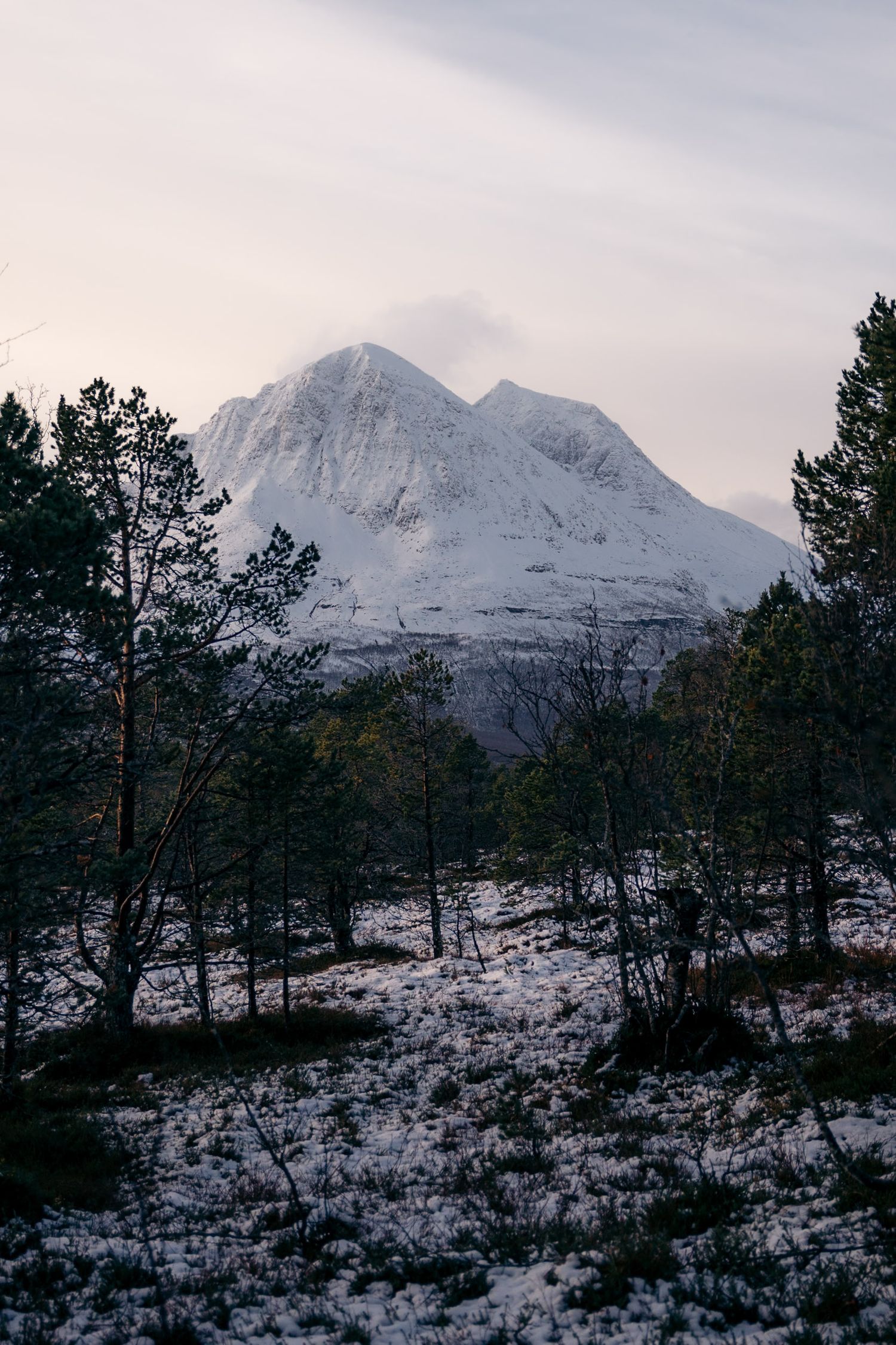 toundra ile tromso avec montagne enneigée en norvege