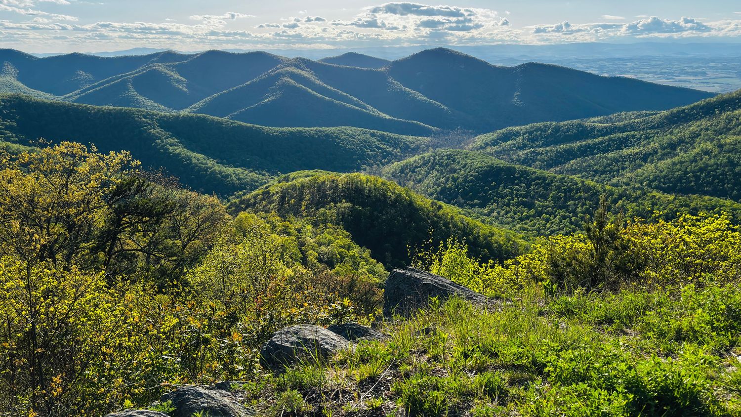 Winter mountainside Skyline Drive n Shenandoah National Park