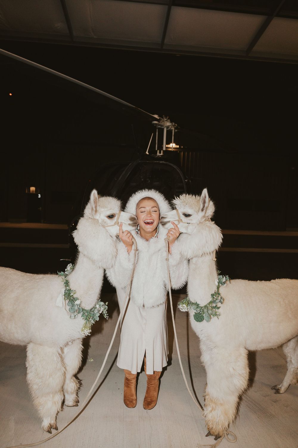 A smiling woman in a long white dress and fluffy white hat holding a lead to 2 white alpacas wearing a greenery collar, getting kisses.