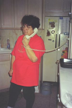 Casual indoor shots of someone in a red shirt talking on a corded telephone.