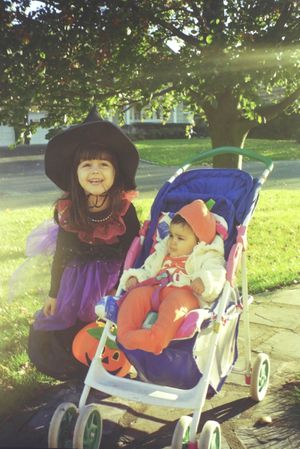 Children's strollers arranged on a sunny lawn with trees in the background.