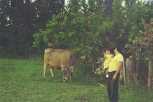 People and deer visible in outdoor wooded setting during daytime.