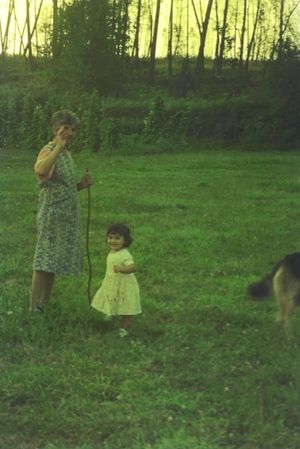 A sunny afternoon scene in a grassy backyard with figures standing near trees and woods.