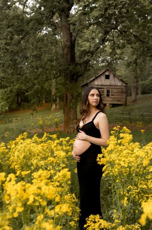 Maternity photography session in a field of golden wildflowers with rustic cabin in background.