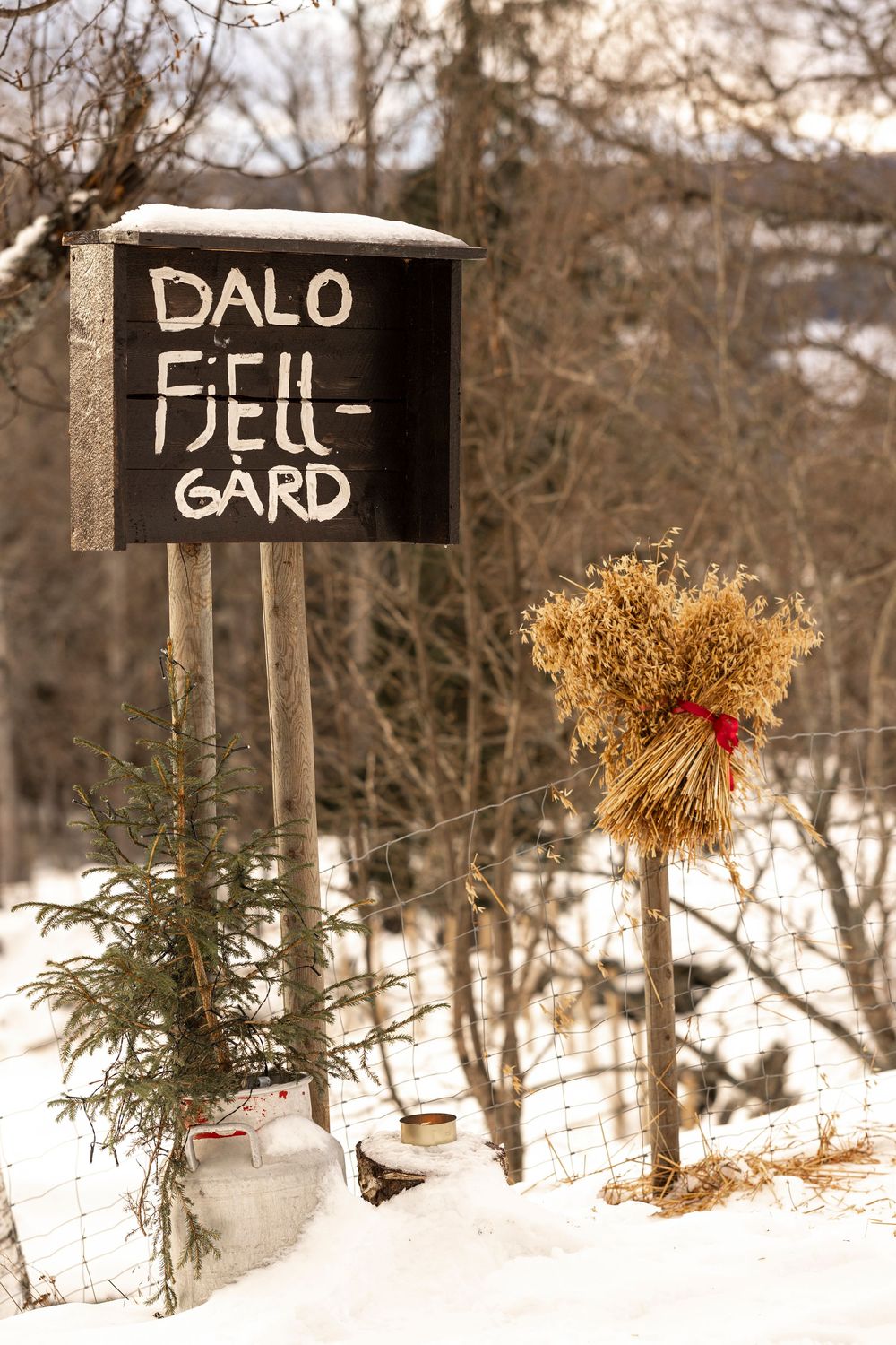 Wooden signs with text mounted on posts in a snowy forest setting with dried flowers and evergreen decorations.