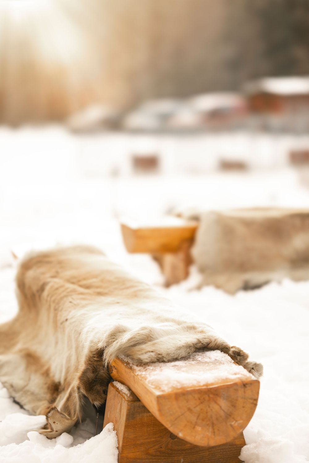 Rustic wooden logs covered in fresh snow create a serene winter scene with shallow depth of field.