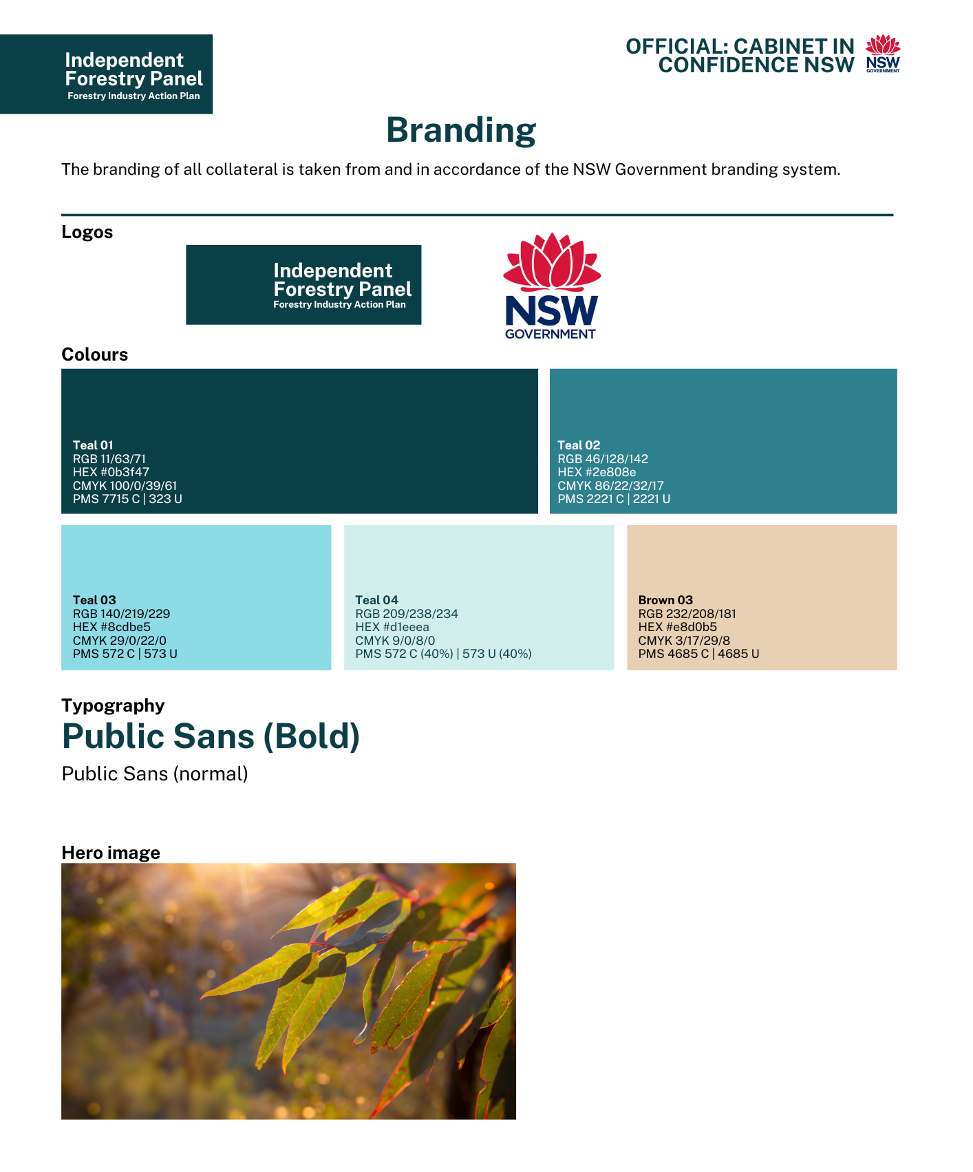 Official NSW government branding guidelines showing color swatches, typography samples and logo variations.