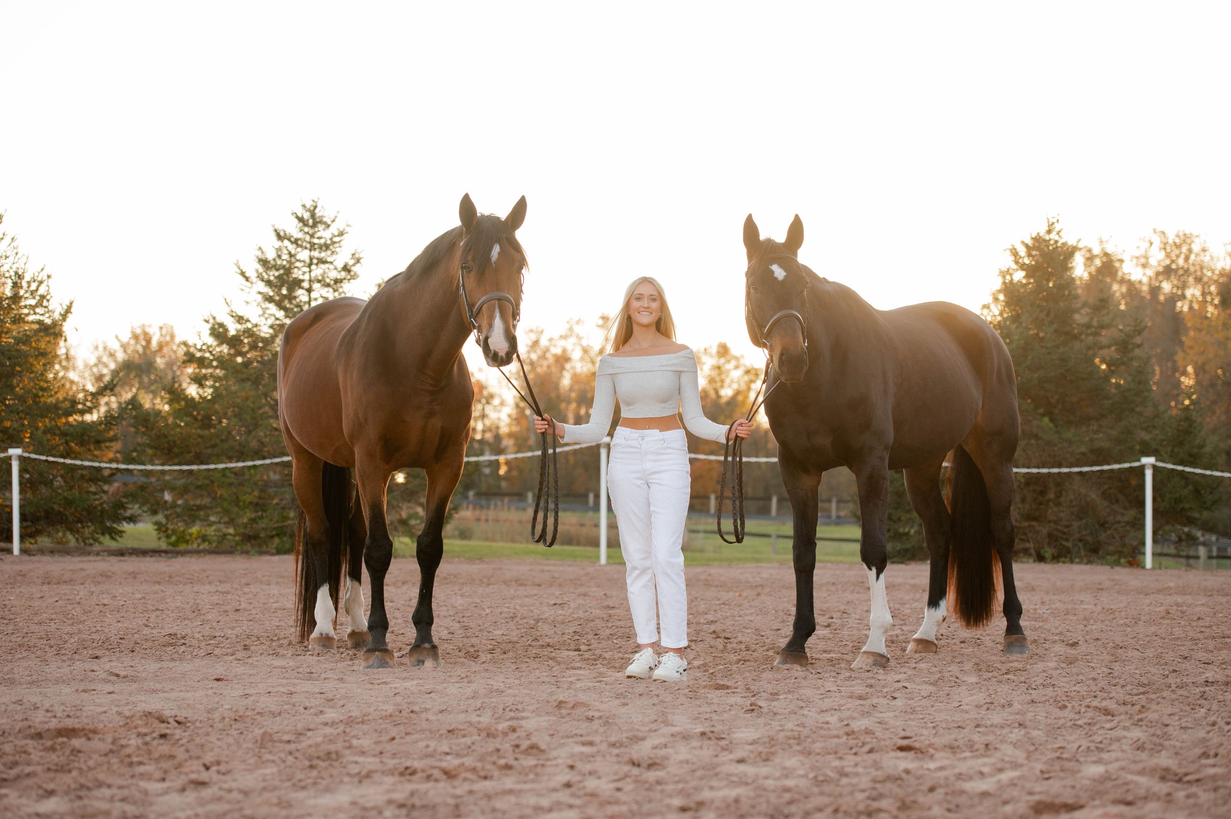 Two dark horses stand with a figure in white clothing during sunset in a sandy paddock.