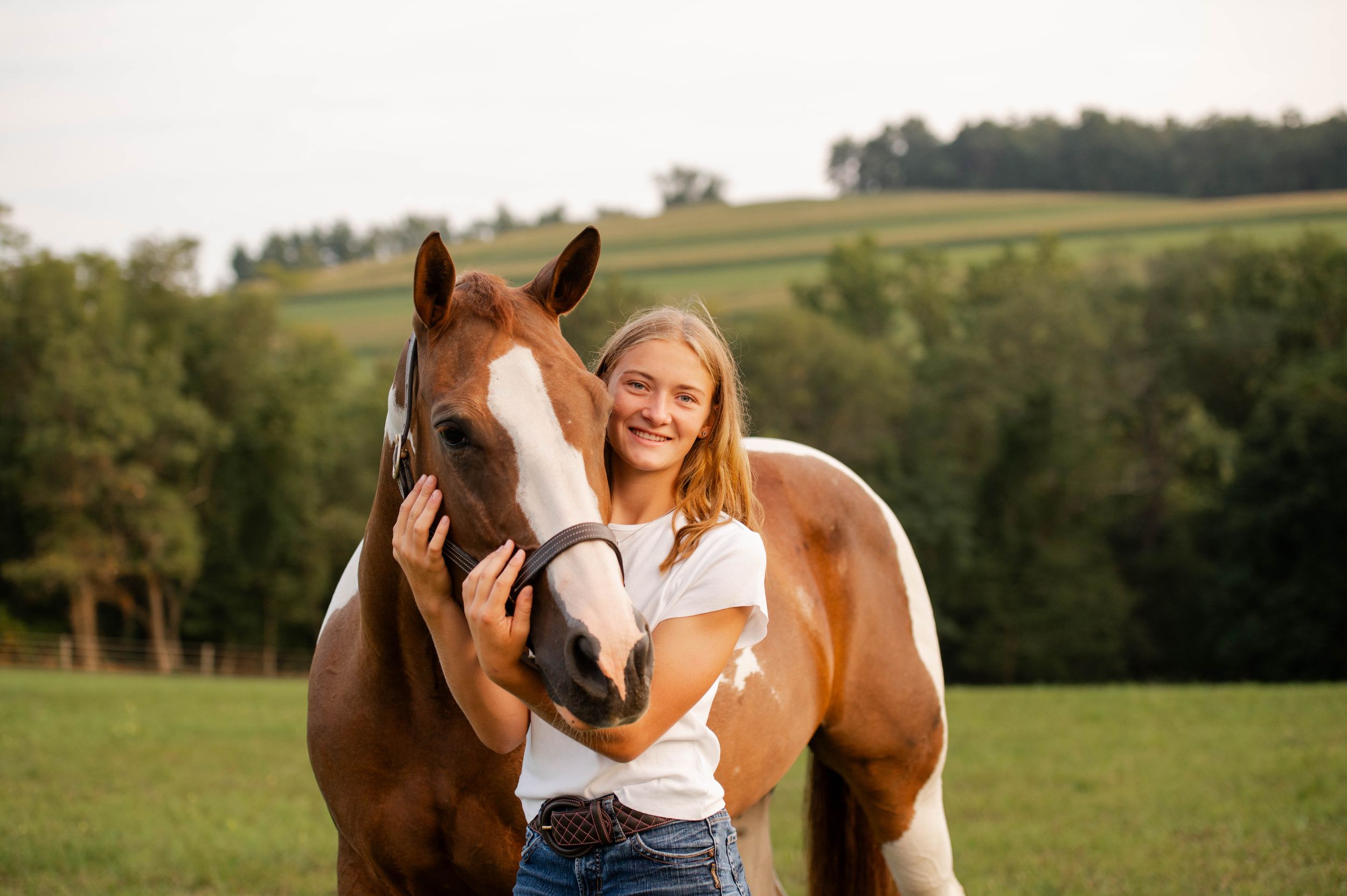 A brown and white horse nuzzles close in a grassy field with rolling hills in the background.