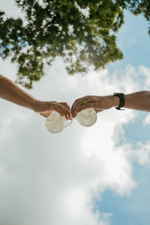 Two hands clinking white cups together against a blue sky with tree branches overhead.