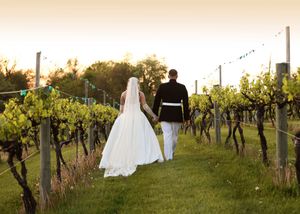 Newlyweds pose together in a scenic vineyard during golden hour.