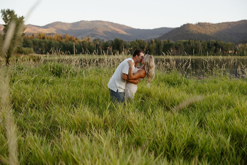 Tall grass sways in a meadow with mountains visible in the distance on a sunny summer day.