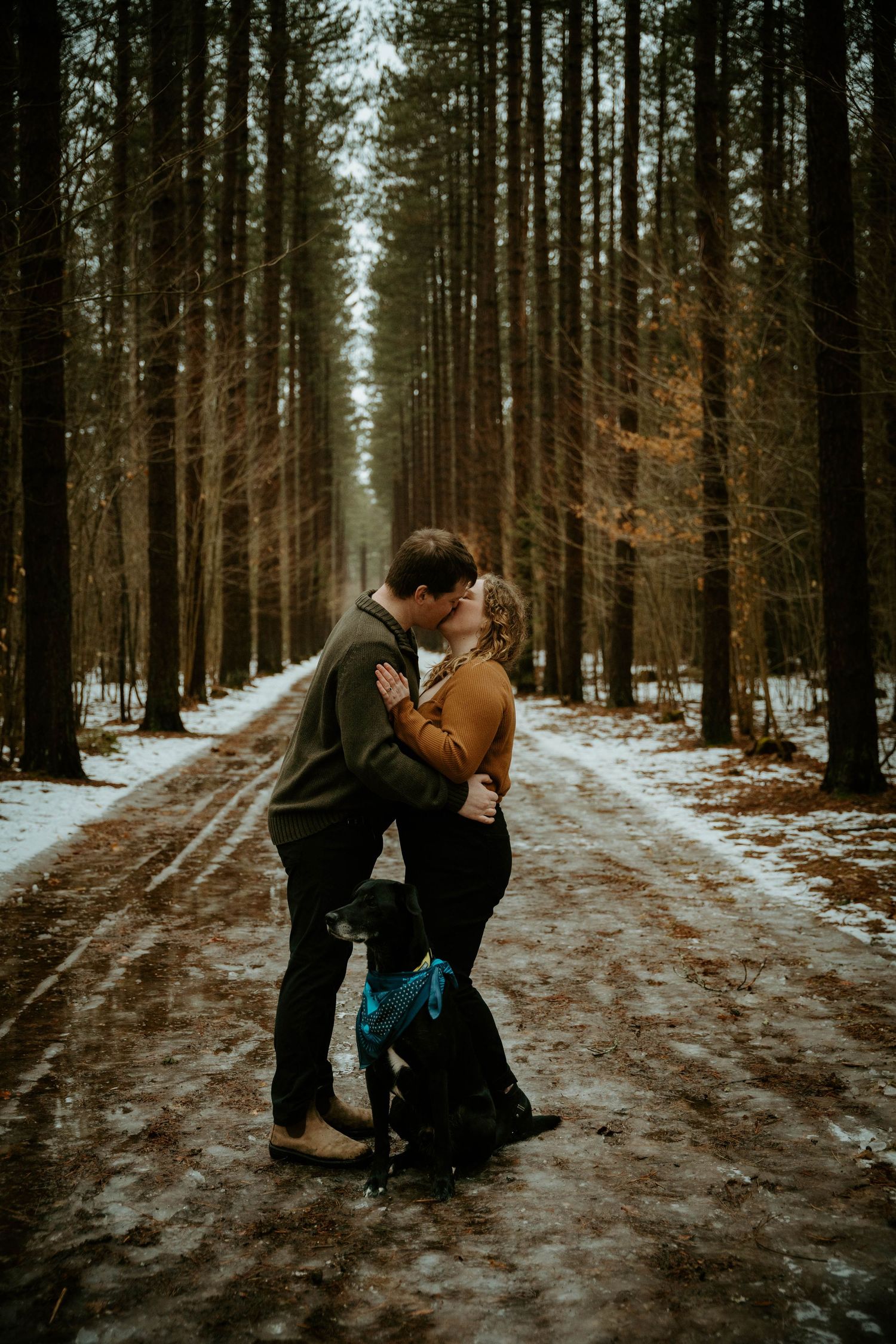 A couple embracing on a snowy forest path lined with tall pine trees.