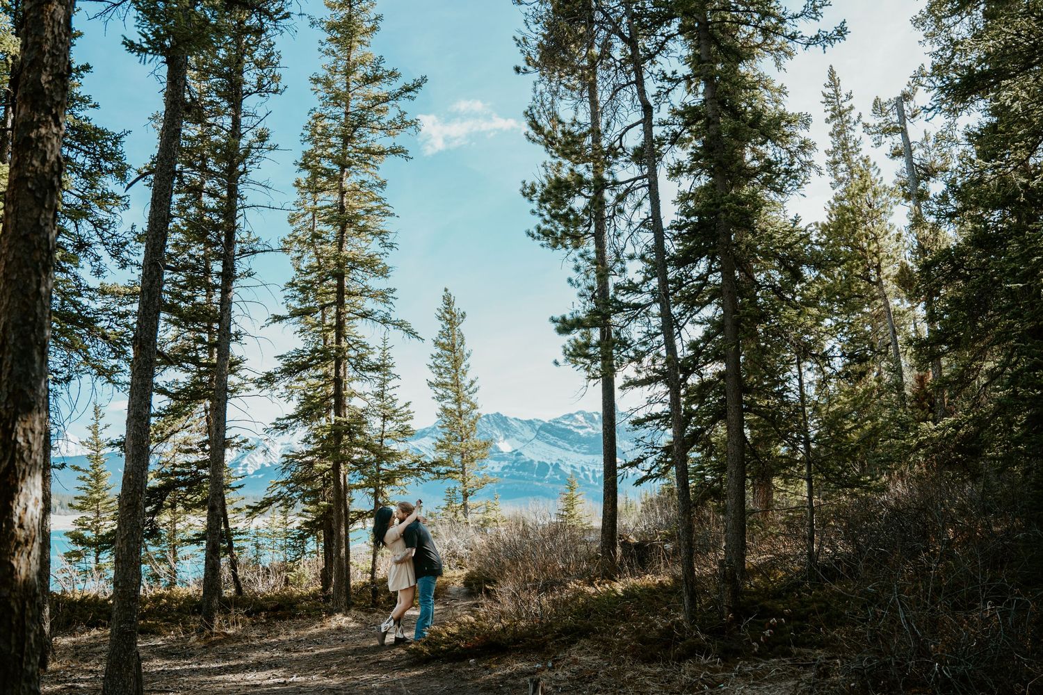 Silhouettes walk along a mountain trail surrounded by tall pine trees with majestic mountain peaks in the background.