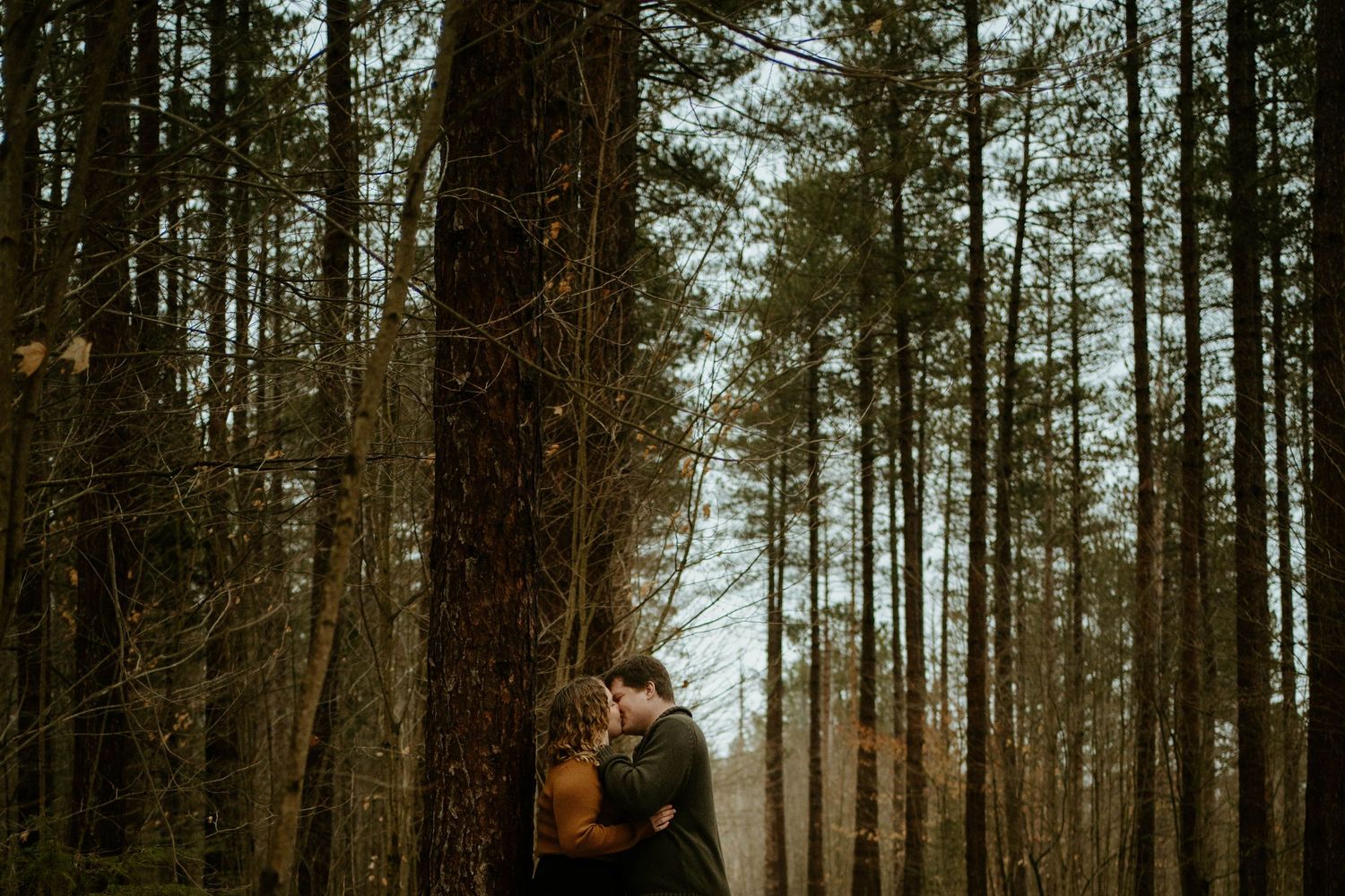 An intimate moment between a couple surrounded by towering pine trees in winter.