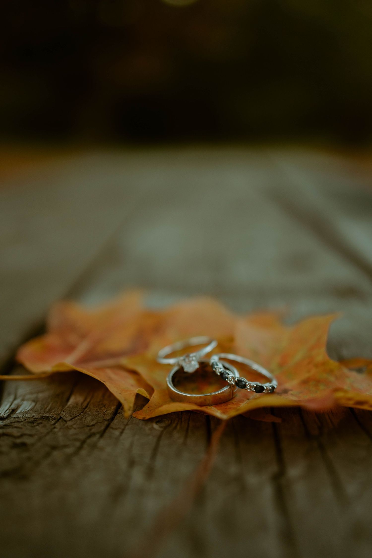 Wedding rings rest elegantly on a vibrant autumn maple leaf against rustic wooden planks in soft lighting.
