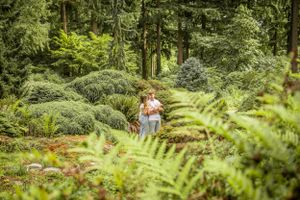 A romantic moment captured through lush ferns in a verdant forest setting.