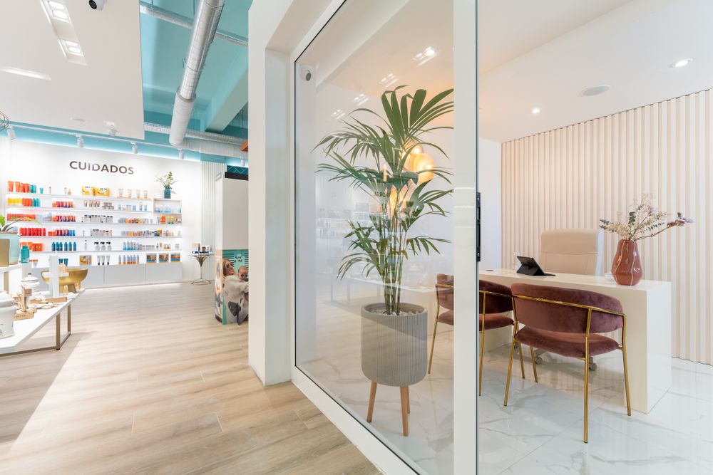 Bright retail space with minimalist decor, palm plant, and clean white walls.