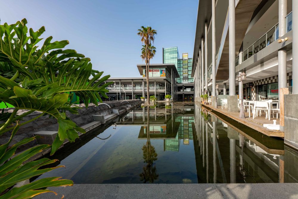 Reflective pool with palm trees and modern architecture creating a serene commercial space.