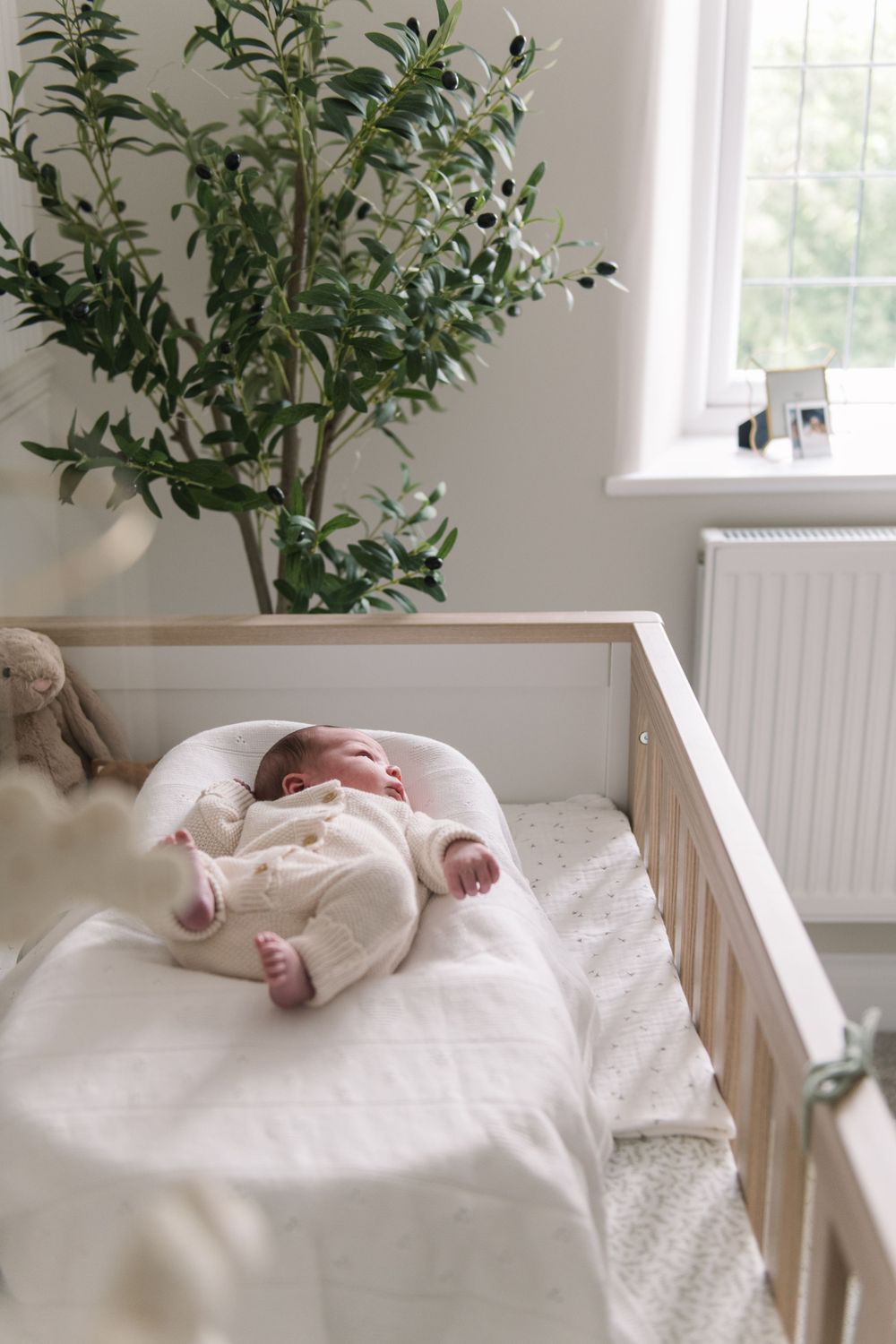 A sleeping newborn baby lies peacefully on white bedding next to a potted plant in a bright, sunlit room.