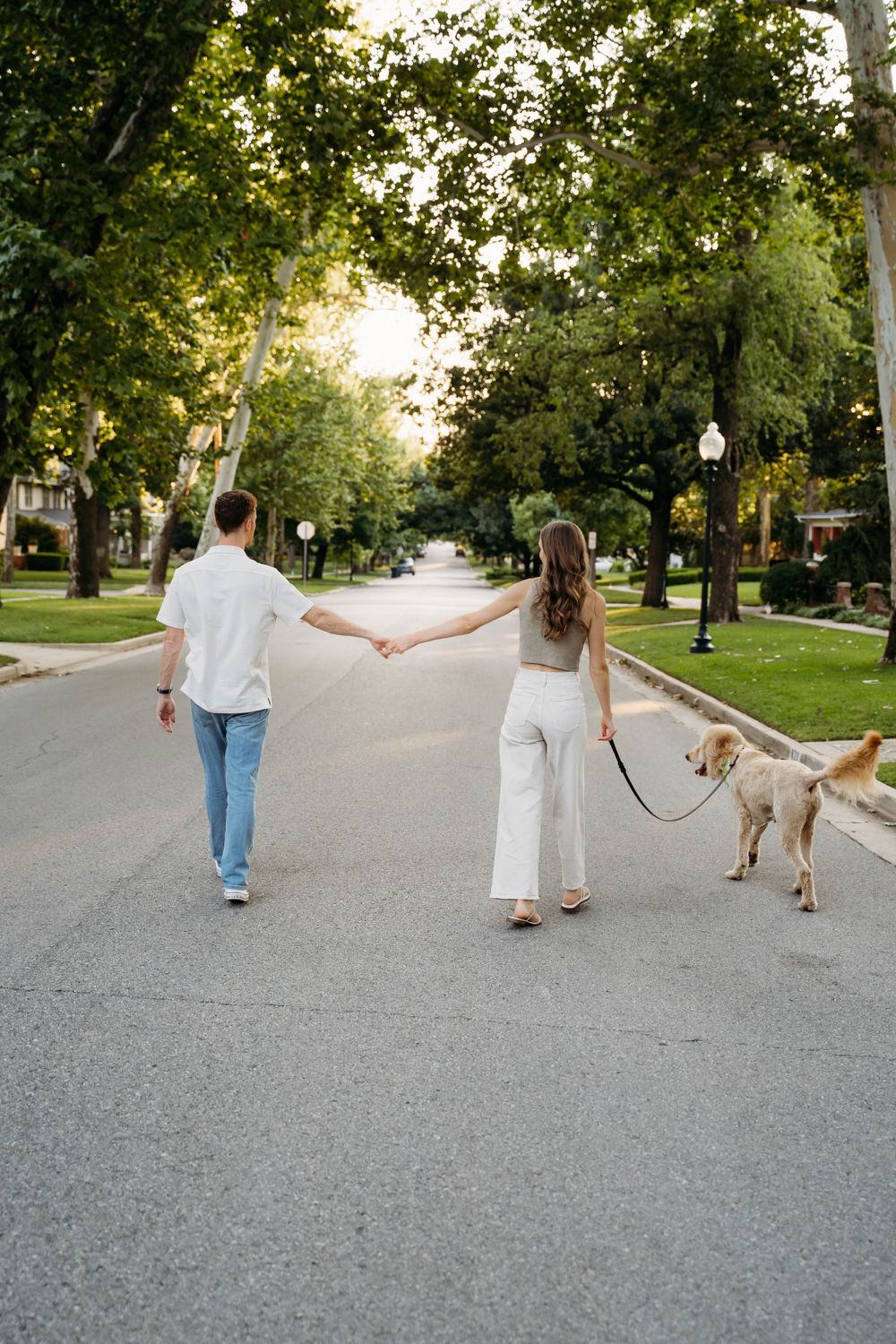 Couple walking their dog down a tree-lined suburban street at sunset while holding hands.
