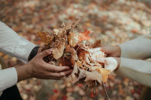 Hands holding fallen autumn leaves in warm neutral toned outdoor setting.