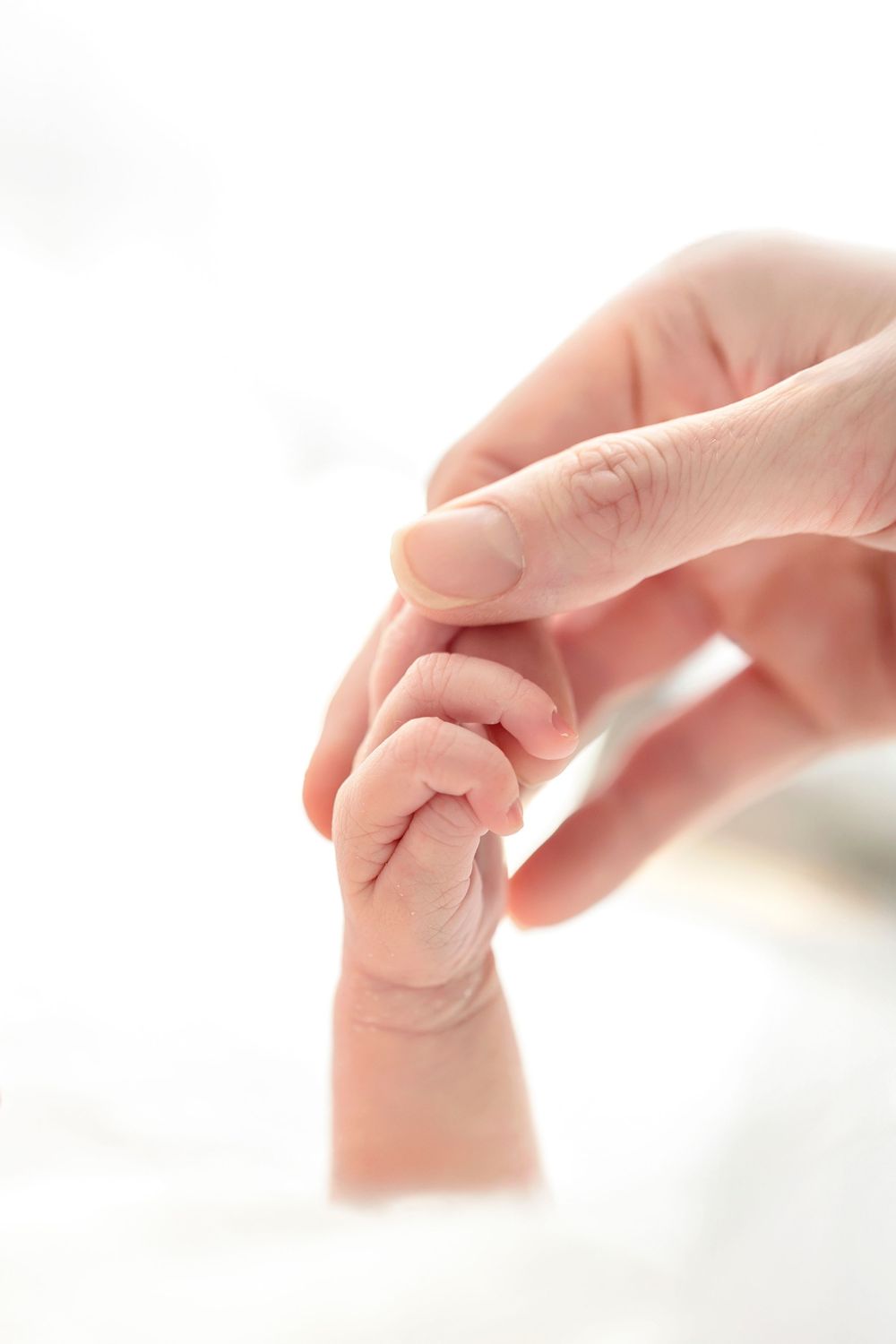 Close-up of a tender moment as adult hand gently holds tiny newborn baby fingers against soft white background.