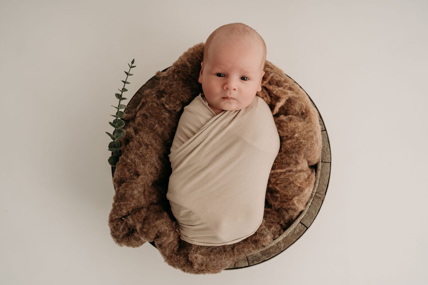 newborn fotoshoot in de studio