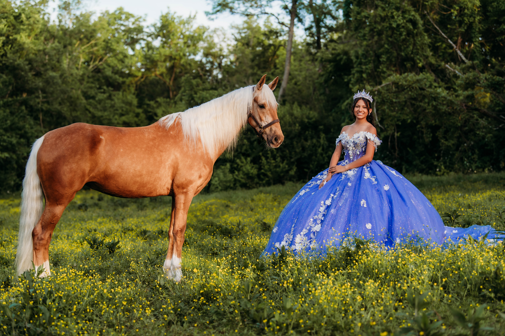 A brown and white horse stands in a wildflower field next to a person wearing a flowing blue formal gown.
