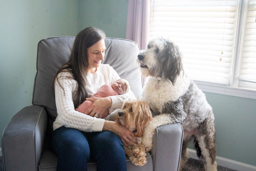 Mom holding newborn baby on chair with her dogs sitting with her