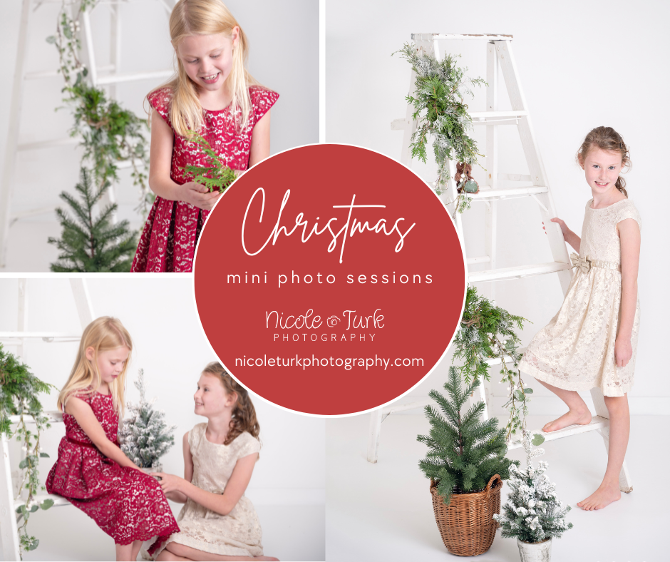 White Christmas mini set with white ladder, Christmas greens and Christmas fir trees