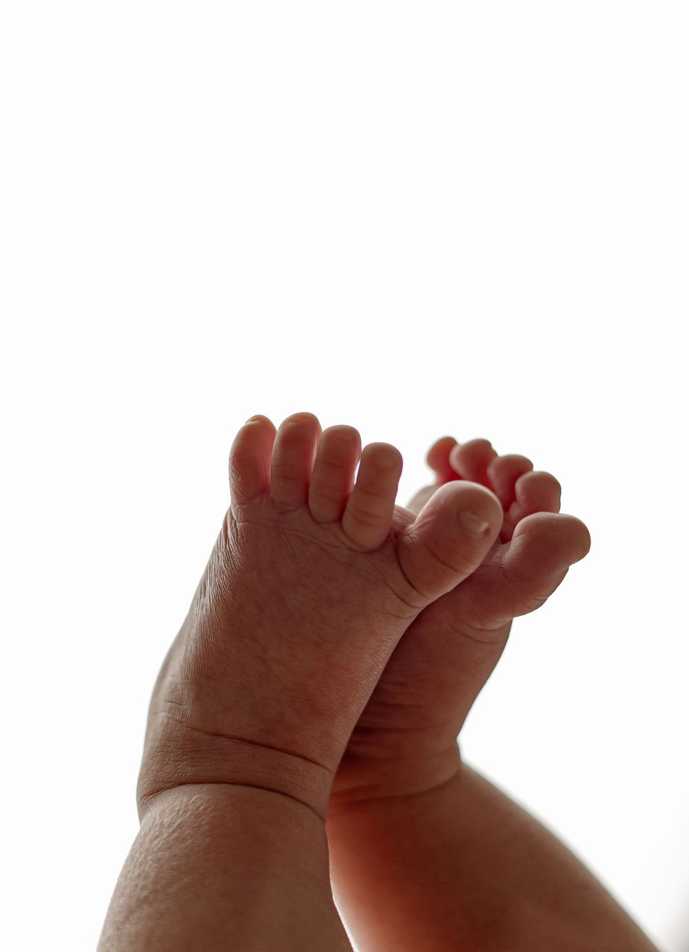 Close-up silhouette of tiny baby feet against white background.