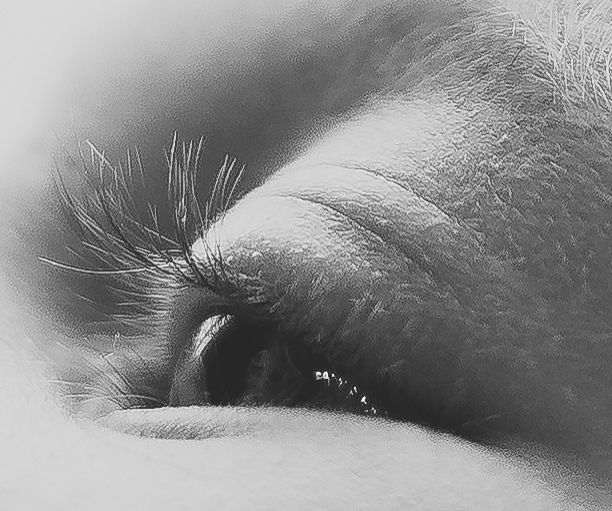 Dramatic black and white macro photograph of an eye with long eyelashes.