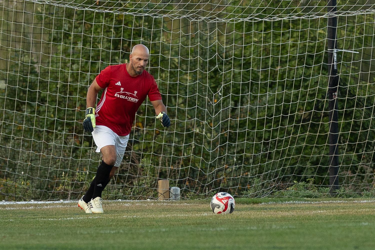 professional soccer, soccer game, goal keeper